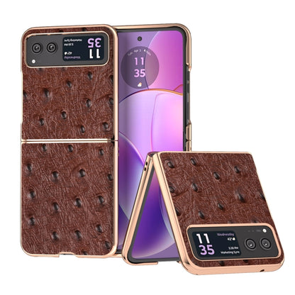 For Motorola Razr 40 Nano Plating Genuine Leather Ostrich Texture Phone Case(Coffee) by buy2fix