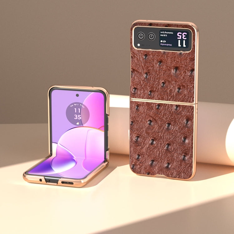 For Motorola Razr 40 Nano Plating Genuine Leather Ostrich Texture Phone Case(Coffee) by buy2fix