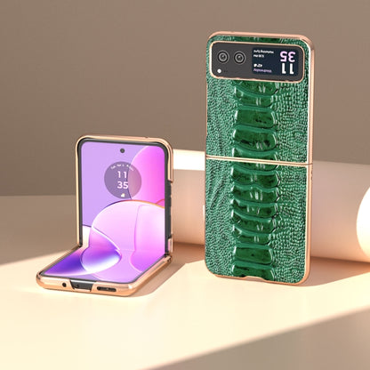 For Motorola Razr 40 Nano Plating Genuine Leather Weilai Series Phone Case(Green) by buy2fix