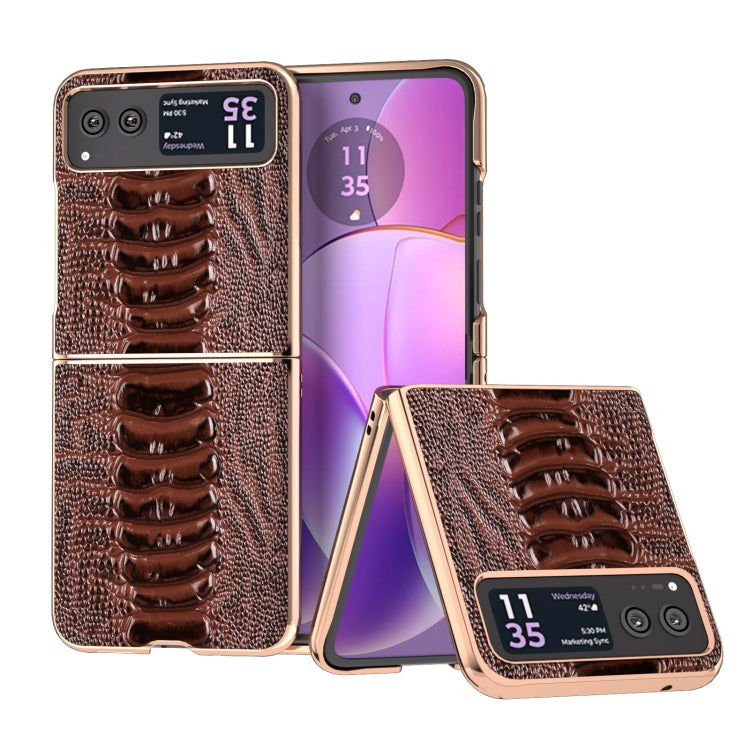 For Motorola Razr 40 Nano Plating Genuine Leather Weilai Series Phone Case(Coffee) by buy2fix