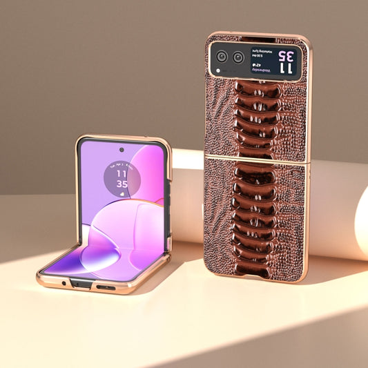 For Motorola Razr 40 Nano Plating Genuine Leather Weilai Series Phone Case(Coffee) by buy2fix