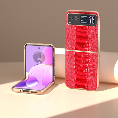For Motorola Razr 40 Nano Plating Genuine Leather Weilai Series Phone Case(Red) by buy2fix