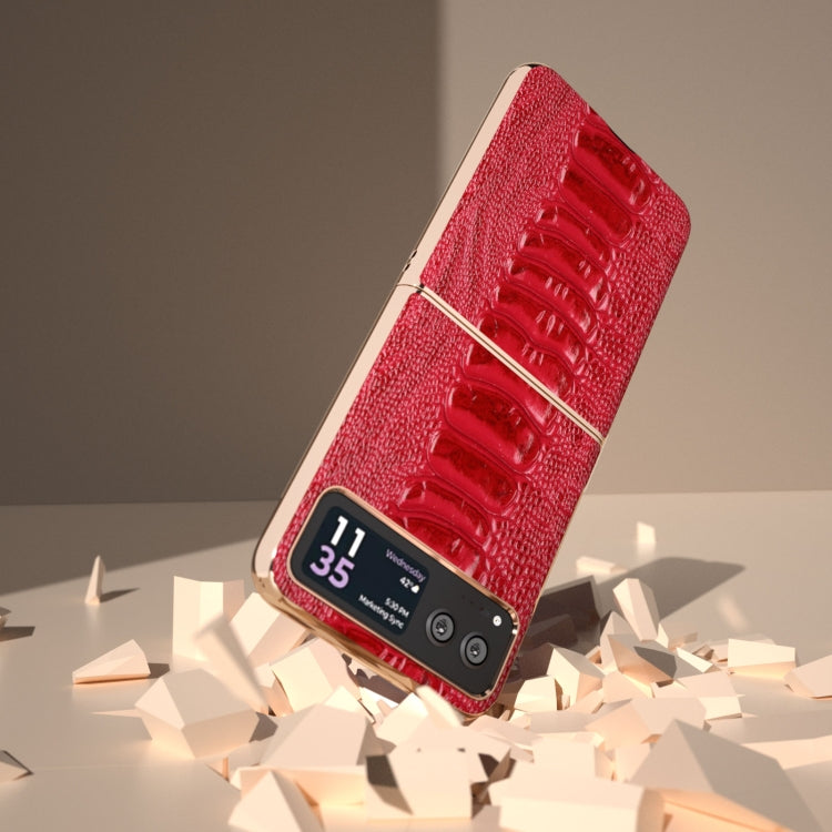 For Motorola Razr 40 Nano Plating Genuine Leather Weilai Series Phone Case(Red) by buy2fix