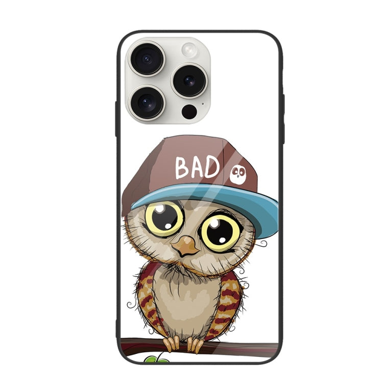 For iPhone 16 Pro Colorful Painted Glass Phone Case(Owl) - iPhone 16 Pro Cases by buy2fix | Online Shopping UK | buy2fix