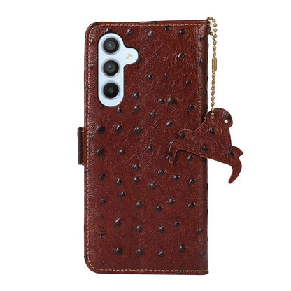 For Samsung Galaxy A35 5G Ostrich Pattern Genuine Leather RFID Phone Case(Coffee) - Galaxy Phone Cases by buy2fix | Online Shopping UK | buy2fix