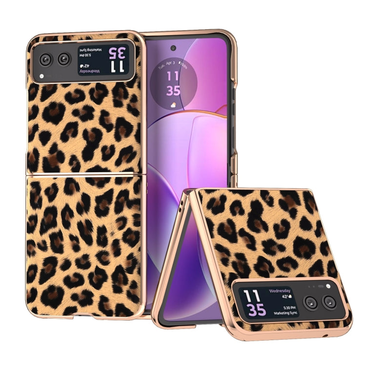 For Motorola Razr 40 Nano Plating Leopard Print Phone Case(Brown) by buy2fix
