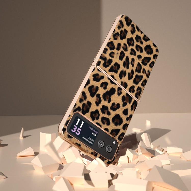 For Motorola Razr 40 Nano Plating Leopard Print Phone Case(Brown) by buy2fix