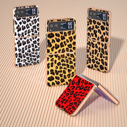 For Motorola Razr 40 Nano Plating Leopard Print Phone Case(Silver) by buy2fix
