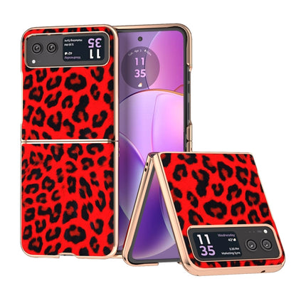 For Motorola Razr 40 Nano Plating Leopard Print Phone Case(Red) by buy2fix