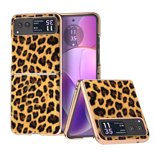 For Motorola Razr 40 Nano Plating Leopard Print Phone Case(Gold) by buy2fix