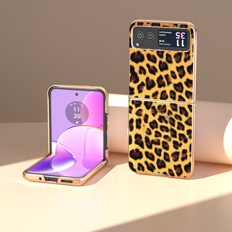 For Motorola Razr 40 Nano Plating Leopard Print Phone Case(Gold) by buy2fix
