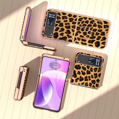 For Motorola Razr 40 Nano Plating Leopard Print Phone Case(Gold) by buy2fix