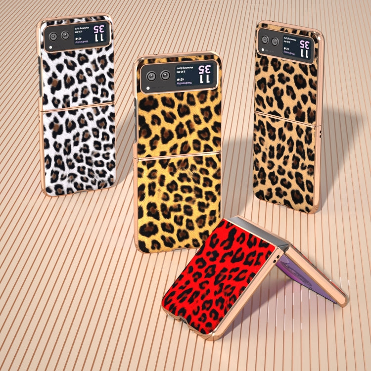 For Motorola Razr 40 Nano Plating Leopard Print Phone Case(Gold) by buy2fix