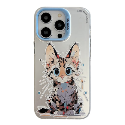 For iPhone 16 Pro Animal Pattern Oil Painting Series PC + TPU Phone Case(Stupid Cat) - iPhone 16 Pro Cases by buy2fix | Online Shopping UK | buy2fix