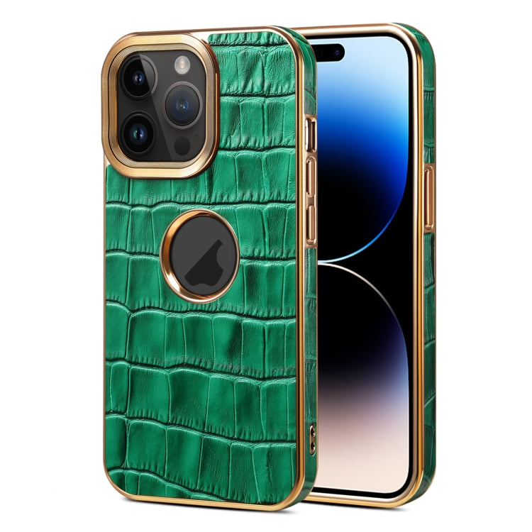 For iPhone 15 Pro Denior Crocodile Texture Genuine Leather Electroplating Phone Case(Green) - iPhone 15 Pro Cases by Denior | Online Shopping UK | buy2fix