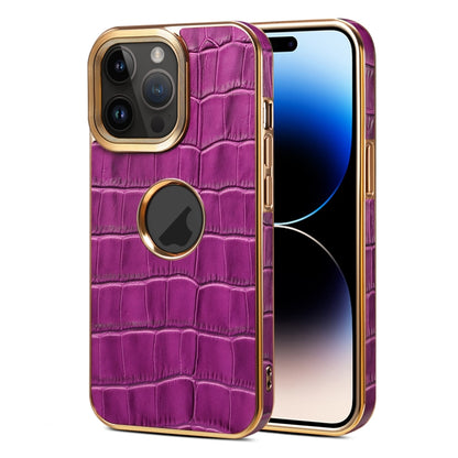 For iPhone 14 Pro Max Denior Crocodile Texture Genuine Leather Electroplating Phone Case(Purple) - iPhone 14 Pro Max Cases by Denior | Online Shopping UK | buy2fix