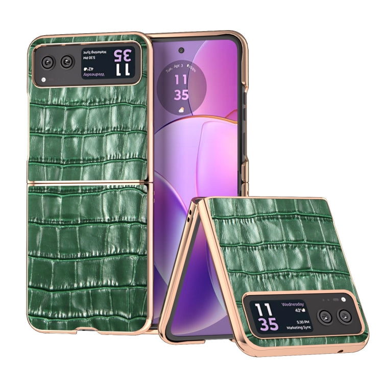 For Motorola Razr 40 Crocodile Texture Genuine Leather Electroplating Phone Case(Dark Green) by buy2fix