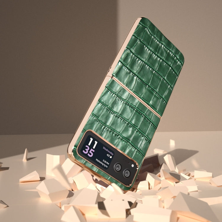 For Motorola Razr 40 Crocodile Texture Genuine Leather Electroplating Phone Case(Dark Green) by buy2fix