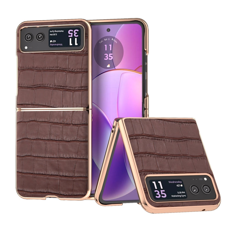 For Motorola Razr 40 Crocodile Texture Genuine Leather Electroplating Phone Case(Brown) by buy2fix