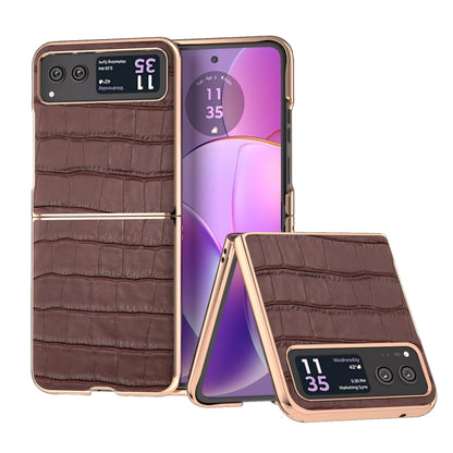 For Motorola Razr 40 Crocodile Texture Genuine Leather Electroplating Phone Case(Brown) by buy2fix