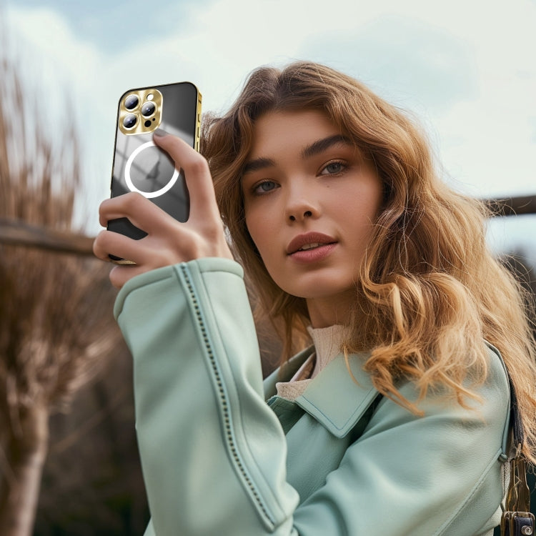 For iPhone 16 Pro Max Frosted MagSafe Magnetic Metal Phone Case(Gold) - iPhone 16 Pro Max Cases by buy2fix | Online Shopping UK | buy2fix