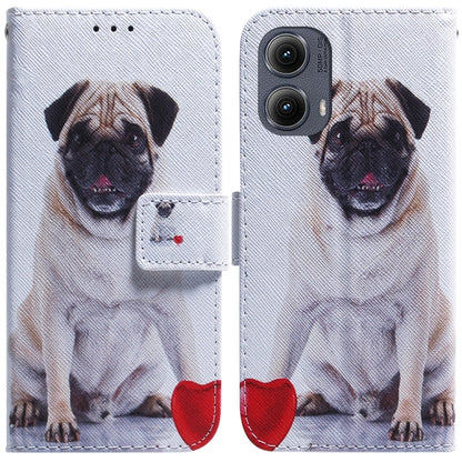 For Motorola Edge 2024 Coloured Drawing Flip Leather Phone Case(Pug) by buy2fix