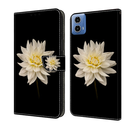 For Motorola Moto G34 Crystal 3D Shockproof Protective Leather Phone Case(White Flower) - Motorola Cases by buy2fix | Online Shopping UK | buy2fix