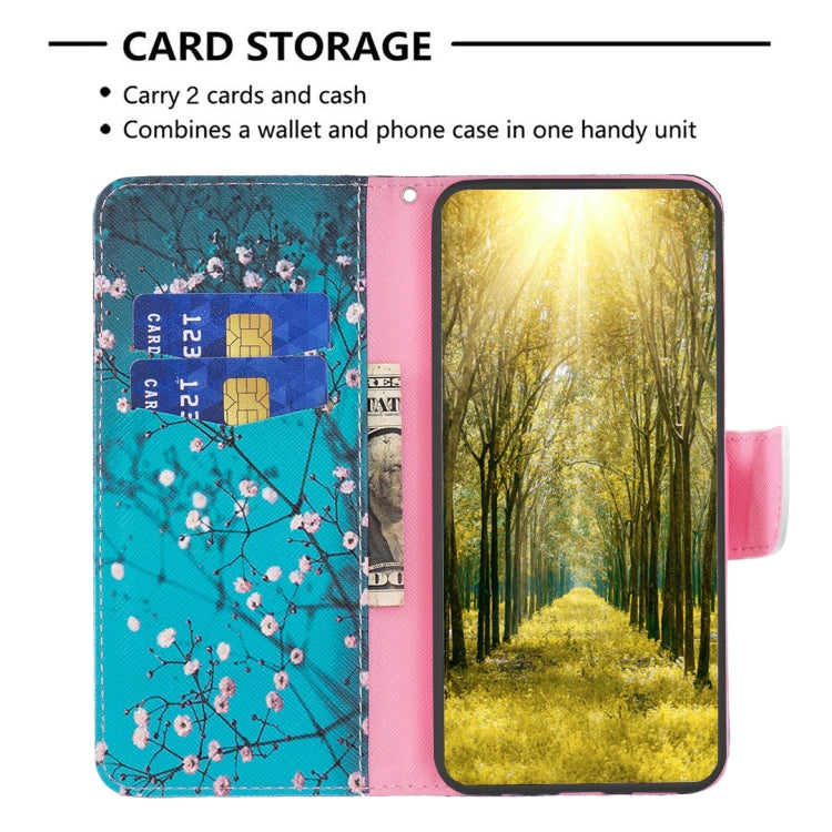 For Tecno Spark Go 2024 / 20C / POP 8 Colored Drawing Pattern Leather Phone Case(Plum Blossom) by buy2fix