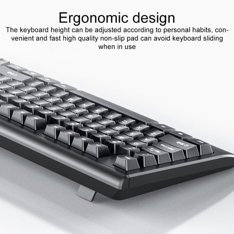 EDA0059544_3.jpg@cfd5ee4877800d6df509e00163bfe7a7