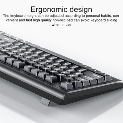 EDA0059544_3.jpg@cfd5ee4877800d6df509e00163bfe7a7