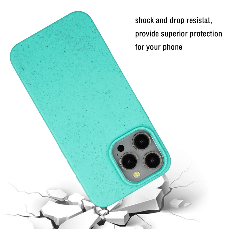 For iPhone 12 Pro Max Wheat MagSafe Magnetic Straw Material + TPU Phone Case(Green) by buy2fix