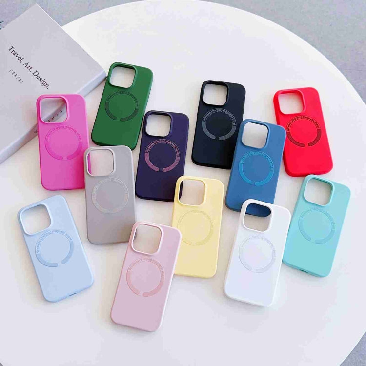 For iPhone 12 Pro MagSafe Magnetic Liquid Silicone Phone Case(Grey) by buy2fix
