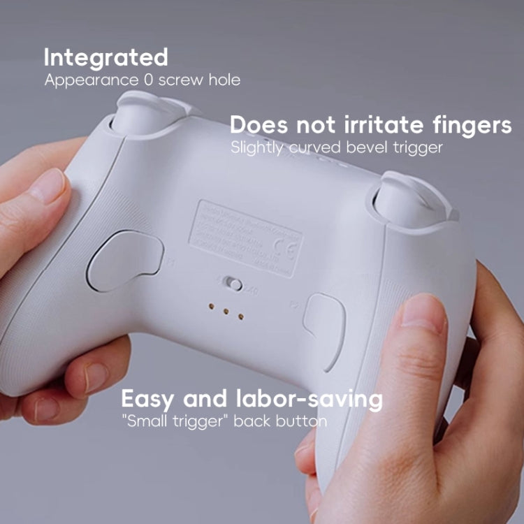 8BitDo Orion NS Version True Wireless Bluetooth Gamepad with Charging Stand(Black) - Controller Gamepad by 8BitDo | Online Shopping UK | buy2fix