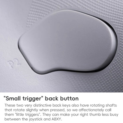 8BitDo Orion NS Version True Wireless Bluetooth Gamepad with Charging Stand(Black) - Controller Gamepad by 8BitDo | Online Shopping UK | buy2fix