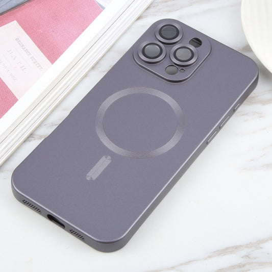 For iPhone 16 Pro Liquid TPU Silicone Solid Color MagSafe Phone Case(Grey) by buy2fix