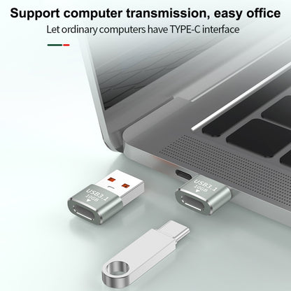120W 10Gbps USB3.1 Male to USB-C / Type-C Female OTG Mini Adapter(Silver) - OTG Adapter by buy2fix | Online Shopping UK | buy2fix
