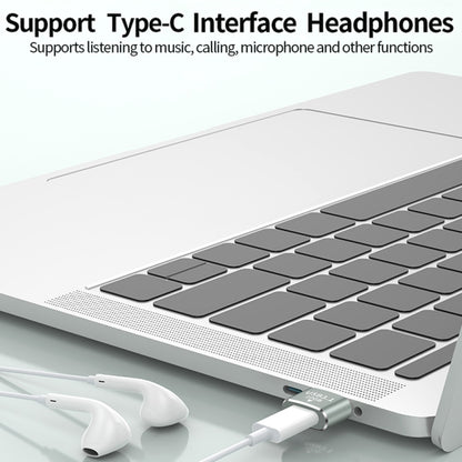 120W 10Gbps USB3.1 Male to USB-C / Type-C Female OTG Mini Adapter(Silver) - OTG Adapter by buy2fix | Online Shopping UK | buy2fix