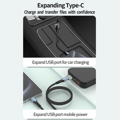 120W 10Gbps USB3.1 Male to USB-C / Type-C Female OTG Mini Adapter(Silver) - OTG Adapter by buy2fix | Online Shopping UK | buy2fix