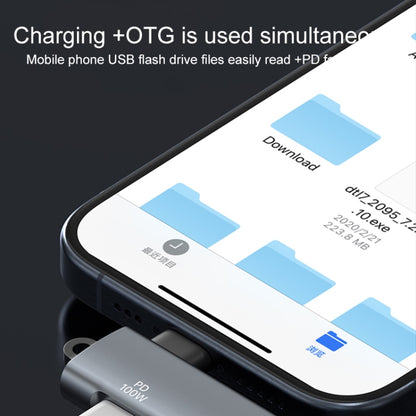 ADS-617 5Gbps PD100W USB-C / Type-C to USB OTG Adapter(Silver) - OTG Adapter by buy2fix | Online Shopping UK | buy2fix