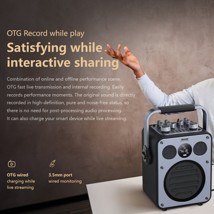 WK Beluga D7 Conductor HiFi Outdoor Portable Bluetooth Speaker(Black) - Desktop Speaker by WK | Online Shopping UK | buy2fix