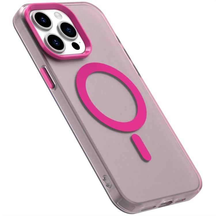 EDA007087713D_5.jpg@4beeb2810717a84ec0fe6b336f3b2479