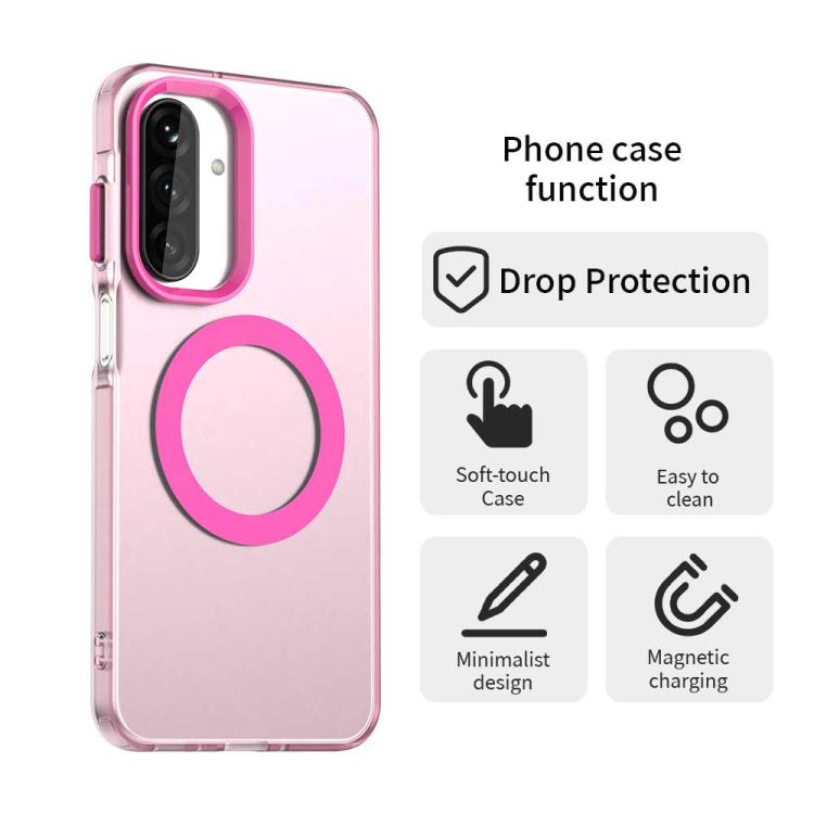 EDA007184916D_3.jpg@750c44e1b86048e70dd7780b2e0f9e32