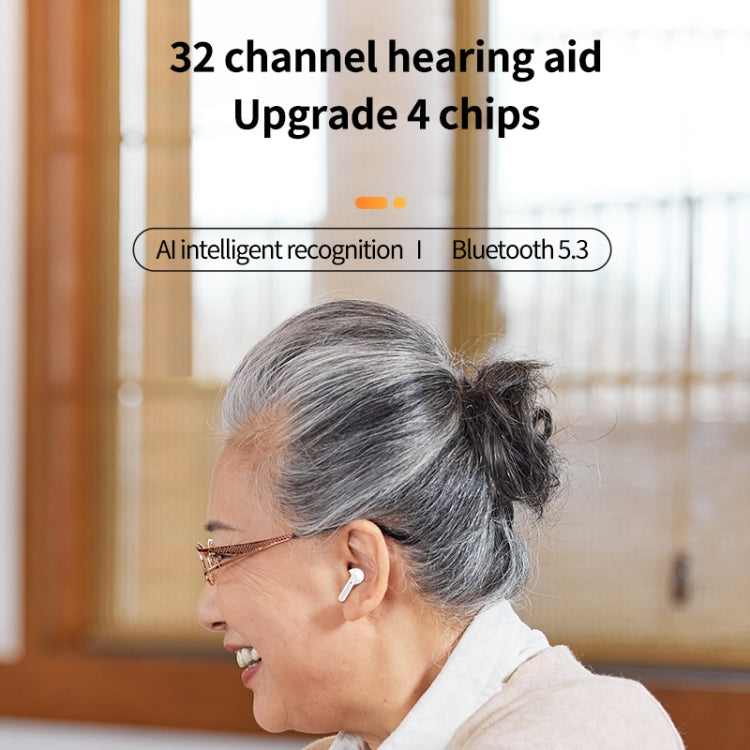 Bluetooth 5.3 In-ear AI Smart Recognition Hearing Aid(Black) - Hearing Aids by buy2fix | Online Shopping UK | buy2fix