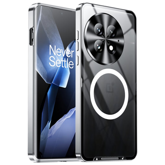 For OnePlus 13 MagSafe Magnetic Frosted Metal Phone Case(Silver) by buy2fix