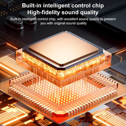 EDA0075802_B5.jpg@abc0aafcdf4cb32d191245c00d15c339