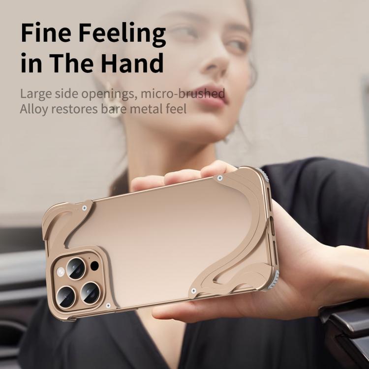 For iPhone 15 Pro Max Dolphin Metal Hybrid PC Transparent Back Panel Phone Case(Gold) - iPhone 15 Pro Max Cases by buy2fix | Online Shopping UK | buy2fix