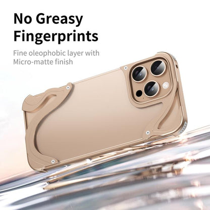 For iPhone 15 Pro Dolphin Metal Hybrid PC Transparent Back Panel Phone Case(Gold) - iPhone 15 Pro Cases by buy2fix | Online Shopping UK | buy2fix