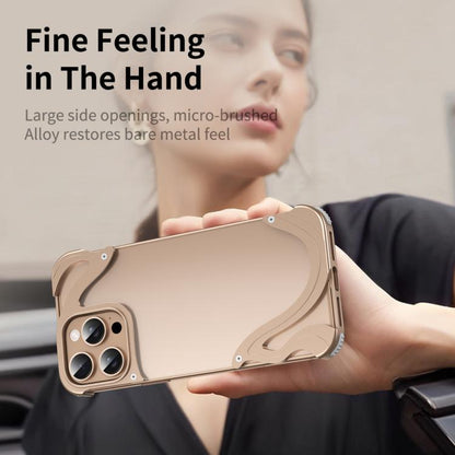 For iPhone 14 Pro Max Dolphin Metal Hybrid PC Transparent Back Panel Phone Case(Black) - iPhone 14 Pro Max Cases by buy2fix | Online Shopping UK | buy2fix