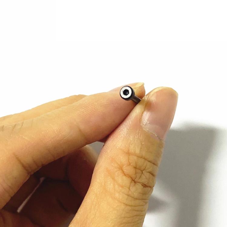 For Amazfit T-Rex 1 Pair Hex Socket Replacement Lug Rod with Screwdriver(Black) - For Amazfit by buy2fix | Online Shopping UK | buy2fix