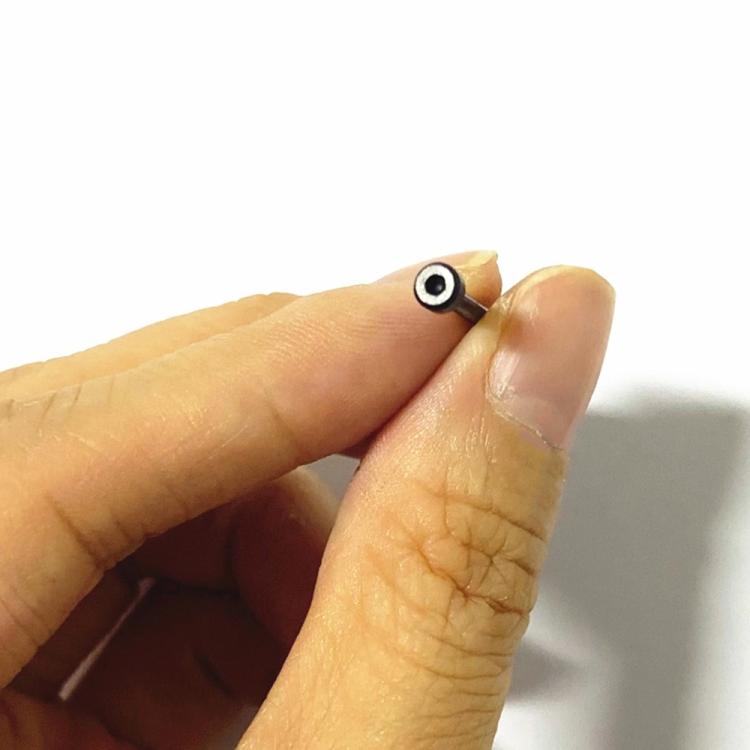 For Amazfit T-Rex Ultra 1 Pair Watch Band Replacement Lug Rod with Screwdriver(Black) - For Amazfit by buy2fix | Online Shopping UK | buy2fix